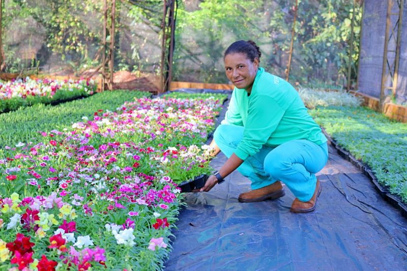 Secretaria de Meio Ambiente trabalha para deixar Itaipulândia mais florida
