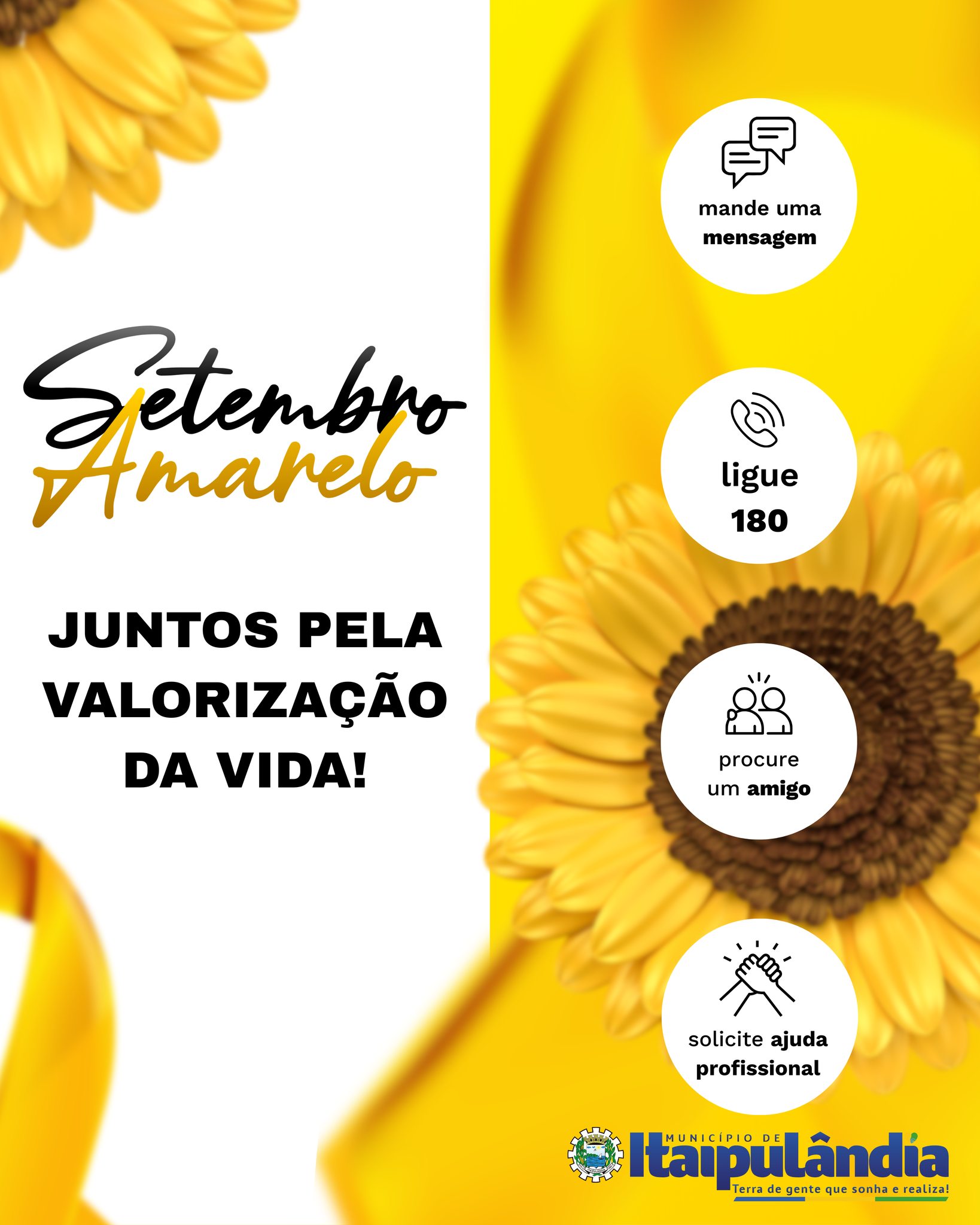 Imagem Noticia: 07b386b7c2461fe387fe5bb22a8cde46.jpg