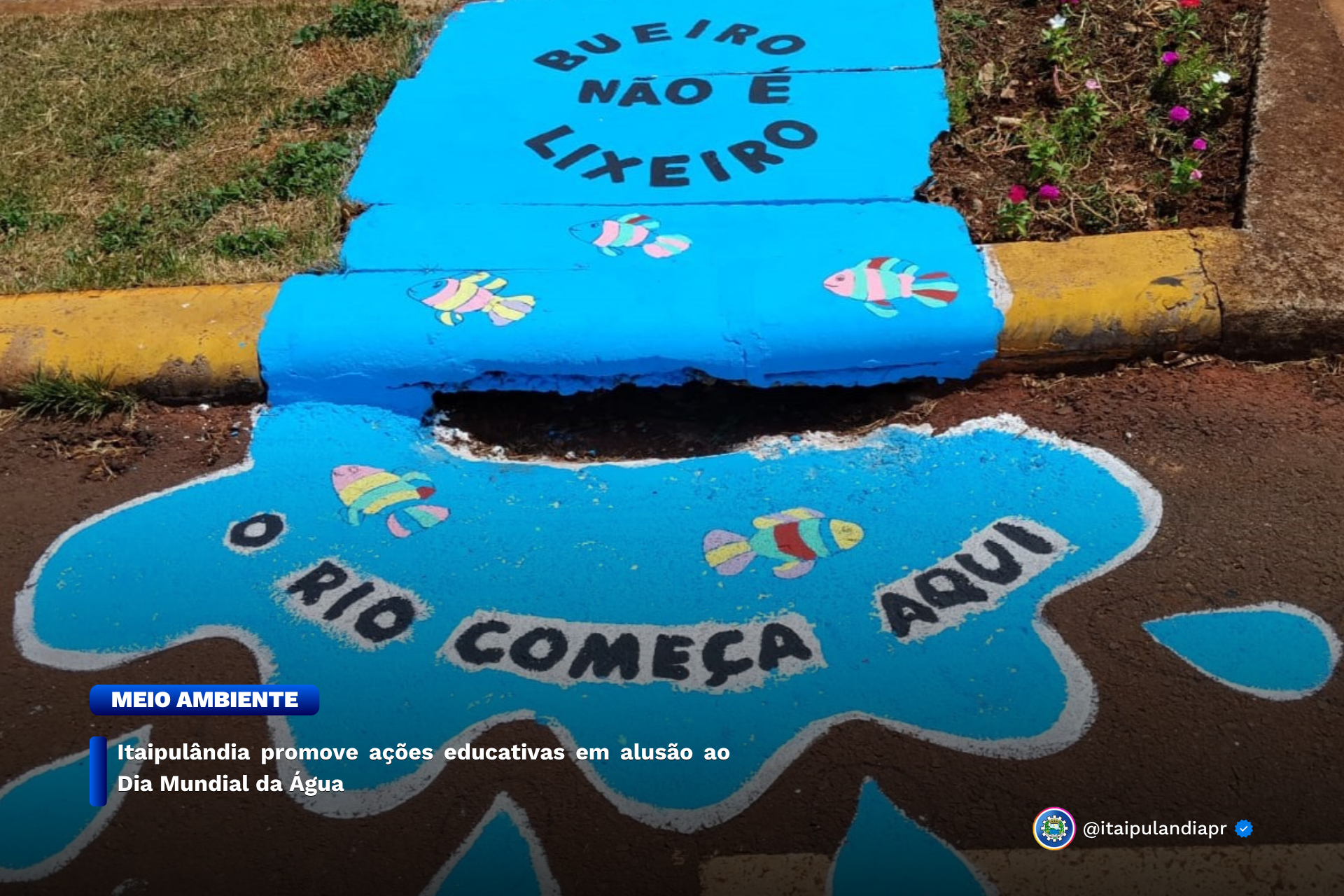 Imagem da Noticia: 7bf20b2a690addb0fa900fd1473e6bd5.png